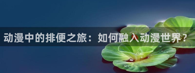 51动漫视频